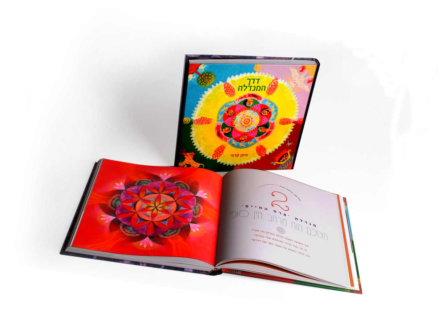 The book "The Mandala Way" in English